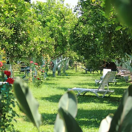 Mercan Bed & Breakfast Cirali