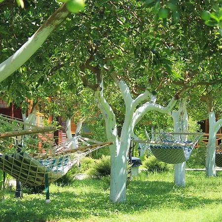 Bed & Breakfast Mercan 3*