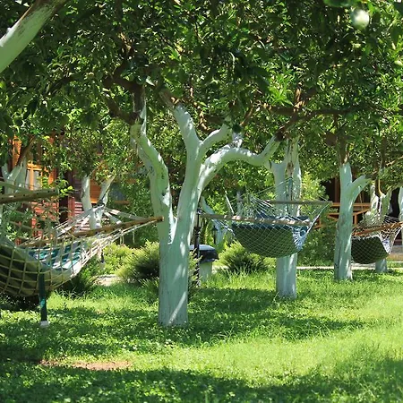Bed & Breakfast Mercan Cirali