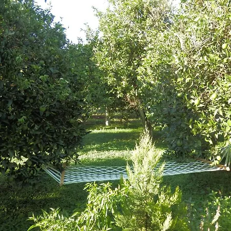 Bed & Breakfast Mercan 3*