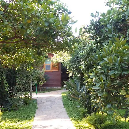 Mercan Bed & Breakfast Cirali
