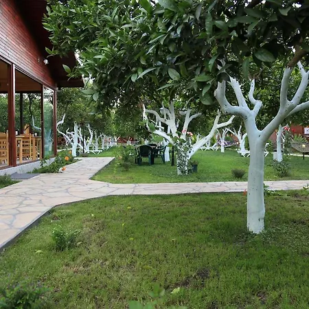 Mercan Bed & Breakfast 3*