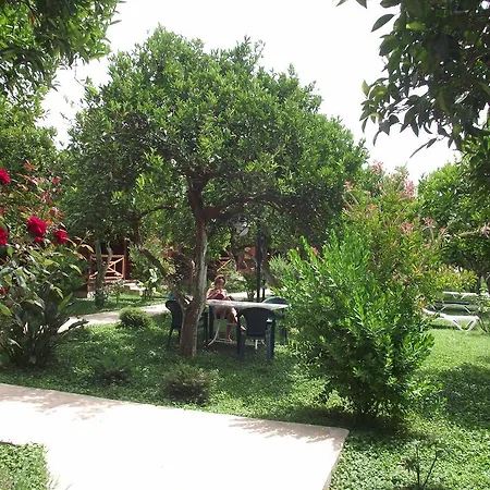 Mercan Oda ve Kahvaltı