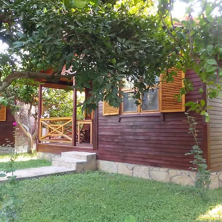 Oda ve Kahvaltı Mercan 3*
