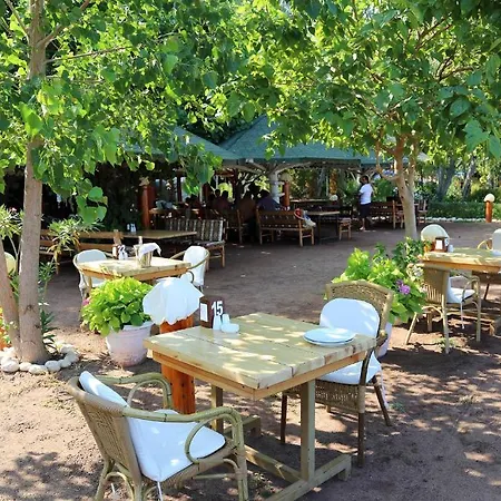 Mercan 3* Çıralı