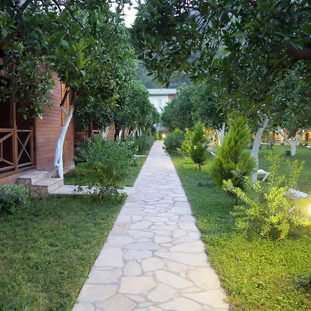 Mercan 3* Çıralı